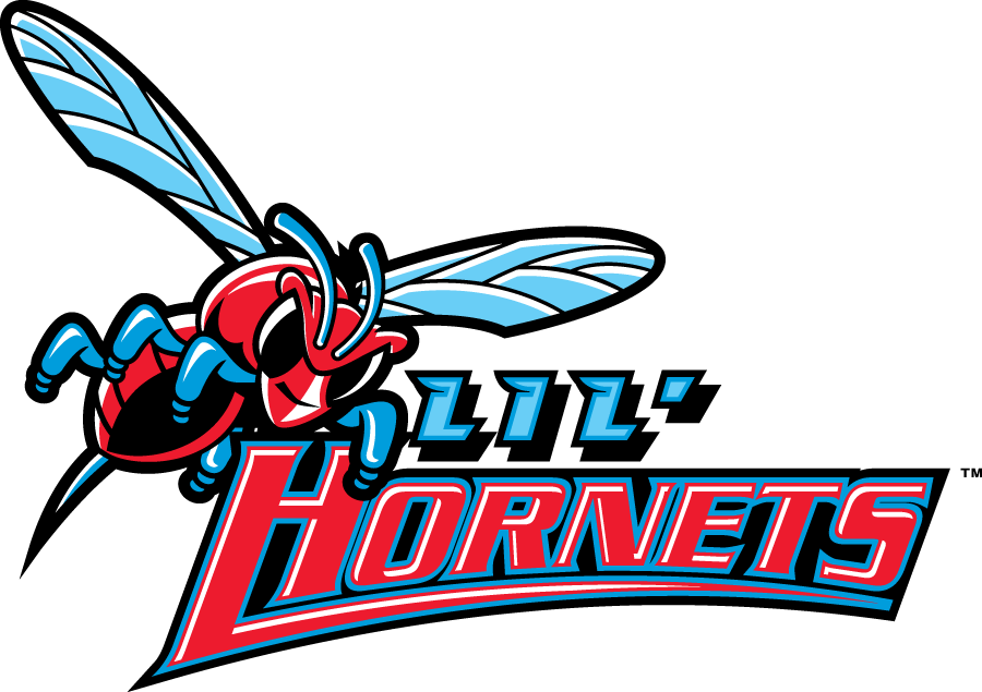 Delaware State Hornets 2004-Pres Misc Logo iron on transfers for fabric
